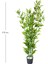 Yapay Bambu Ağacı Yeşil 5'li 175 Cm. 3
