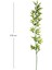Yapay Bambu Dalı Yapraklı Yeşil 170 Cm. 3