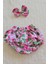 Kız Bebek Desenli Fırfırlı Şort Etek - Bandana Takım Bebek Hediyelik 2