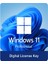 Windows 11 Pro Lisans Anahtarı 2