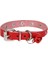 Doggie Taşlı Kedi ve Yavru Köpek Tasması 1,2X26 cm Kırmızı Large 4