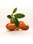 Pro-V Argan Yağlı Saç Bakım Yağı 3x100 ml Kabaran Saçları Yatıştıran Besleyici Formül 14