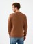 Regular Fit Erkek Sweatshirt 3