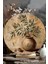 Zeytin Dalı ve Seramik Vazo Temalı Uv Baskı Mdf Duvar Süsü – 33X33 cm & 20X20 cm DT211 3