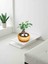 -Ithal Ficus Bonsai Altlıklı Beton Saksıda 35CM Ofis Iç Mekan Hediye 3