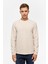 Bej Regular Düz Bisiklet Yaka Sweatshirt 1