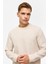 Bej Regular Düz Bisiklet Yaka Sweatshirt 2