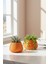 2’li Modern Saksı Seti, Dekoratif Saksı, Minimalist Saksı, Kırmızı, 12CM 3