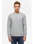 Gri Regular Düz Bisiklet Yaka Sweatshirt 1