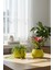2’li Modern Saksı Seti, Dekoratif Saksı, Minimalist Saksı, Sarı, 12CM 1