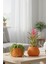 2’li Modern Saksı Seti, Dekoratif Saksı, Minimalist Saksı, Sarı, 12CM 5