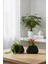 2’li Modern Saksı Seti, Dekoratif Saksı, Minimalist Saksı, Siyah, 12CM 1