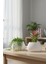 2’li Modern Saksı Seti, Dekoratif Saksı, Minimalist Saksı, Siyah, 12CM 2