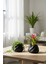 2’li Modern Saksı Seti, Dekoratif Saksı, Minimalist Saksı, Yeşil, 12CM 4