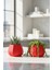 2’li Modern Saksı Seti, Dekoratif Saksı, Minimalist Saksı, Kırmızı, 12CM 1
