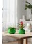 2’li Modern Saksı Seti, Dekoratif Saksı, Minimalist Saksı, Yeşil, 12CM 1
