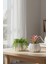 2’li Modern Saksı Seti, Dekoratif Saksı, Minimalist Saksı, Yeşil, 12CM 3