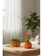 2’li Modern Saksı Seti, Dekoratif Saksı, Minimalist Saksı, Yeşil, 12CM 5