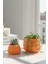 2’li Modern Saksı Seti, Dekoratif Saksı, Minimalist Saksı, Beyaz, 12CM 4