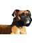 Karlıe Köpek Ağızlığı Özel 2