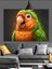 Yeşil Turuncu Papağan Portresi Dekoratif Kanvas - Mdf Ahşap Tablo 4