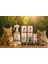 Kedi Köpek Kokusu -Ortam Kokusu -Multi Paste -Malti Paste -Plus B Cat Hepsi Bir Arada 2