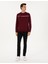 Erkek Bordo Regular Fit Bisiklet Yaka Sweatshirt 50317675-VR014 4