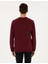 Erkek Bordo Regular Fit Bisiklet Yaka Sweatshirt 50317675-VR014 5