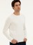 Erkek Ekru Regular Fit Kazak 50279607-VR019 3