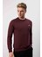 Basıc Regular Fit Bordo Bisiklet Yaka 3
