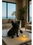 French Bulldog Köpek Figürlü Masa Lambası Modern Dekoratif Aydınlatma 3