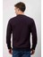 Çizgili Bisiklet Yaka Bordo Regular Fit 4