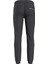 Tommy Jeans Erkek Scanton Soft Touch Jogger 2