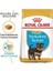 Royal Canin Yorkshire Terrier Junior Yavru Köpek Maması 1.5 kg 2