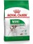 Royal Canin Mini Adult Küçük Irk Yetişkin Köpek Maması 2 kg 1