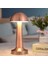 Mantar Model Bronz Renk Şarjlı Dokunmatik 3 Renkli LED Masa Lambası (5047) 4