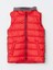 Lcw Kids Kirmizi Kapüşonlu Baskılı Erkek Çocuk Şişme Yelek 1