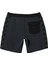 AQYBS03619 Original Arch Hempstretch 18 Erkek Boardshort 2