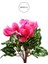 Yapay Siklamen Çiçeği Fuşya 32 cm 2