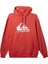 Big Logo Hoodie Erkek Sweatshirt 2