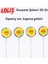 Sosyete Şekeri 30 gr (75'li Kutu) | Renkli Çubuklu Lolipop Şeker–parti, Doğum Günü, Organizasyon 2