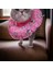 Kedi ve Köpek Yakalığı Elizabeth Yakalık, Ameliyat Sonrası Koruyucu Yakalık 6