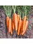 Havuç Tohumu, Nantes Çeşidi, 1 Gram 3