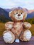 Peluş Ayı Oyun ve Uyku Arkadaşı 23 cm 5
