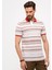 Erkek Kiremit Regular Fit Polo Yaka Tişört 50206204-VR031 2
