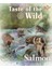 Salmon&herring Somon&ringa Köpek Yaş Mama Tepsi 390 gr 1