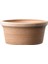 Etrusco Toprak Saksı Terracota 1