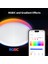 T1M LED Akıllı Tavan Lambası – Matter-Over-Bridge ile 16 Milyon Renk, Rgbıc Gradyan Efekt, Homekit/alexa/google Uyumlu 3