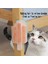 Kedi Otu Hazneli Kedi Kaşınma Aparatı 3