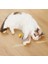 Tüylü Şarjlı Kedi Oyuncağı 3